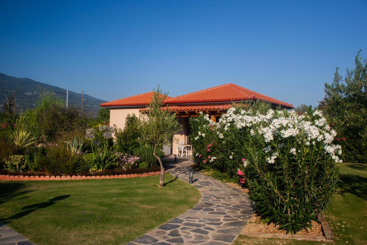 Káto Lekhónia Elite Cottages מראה חיצוני תמונה